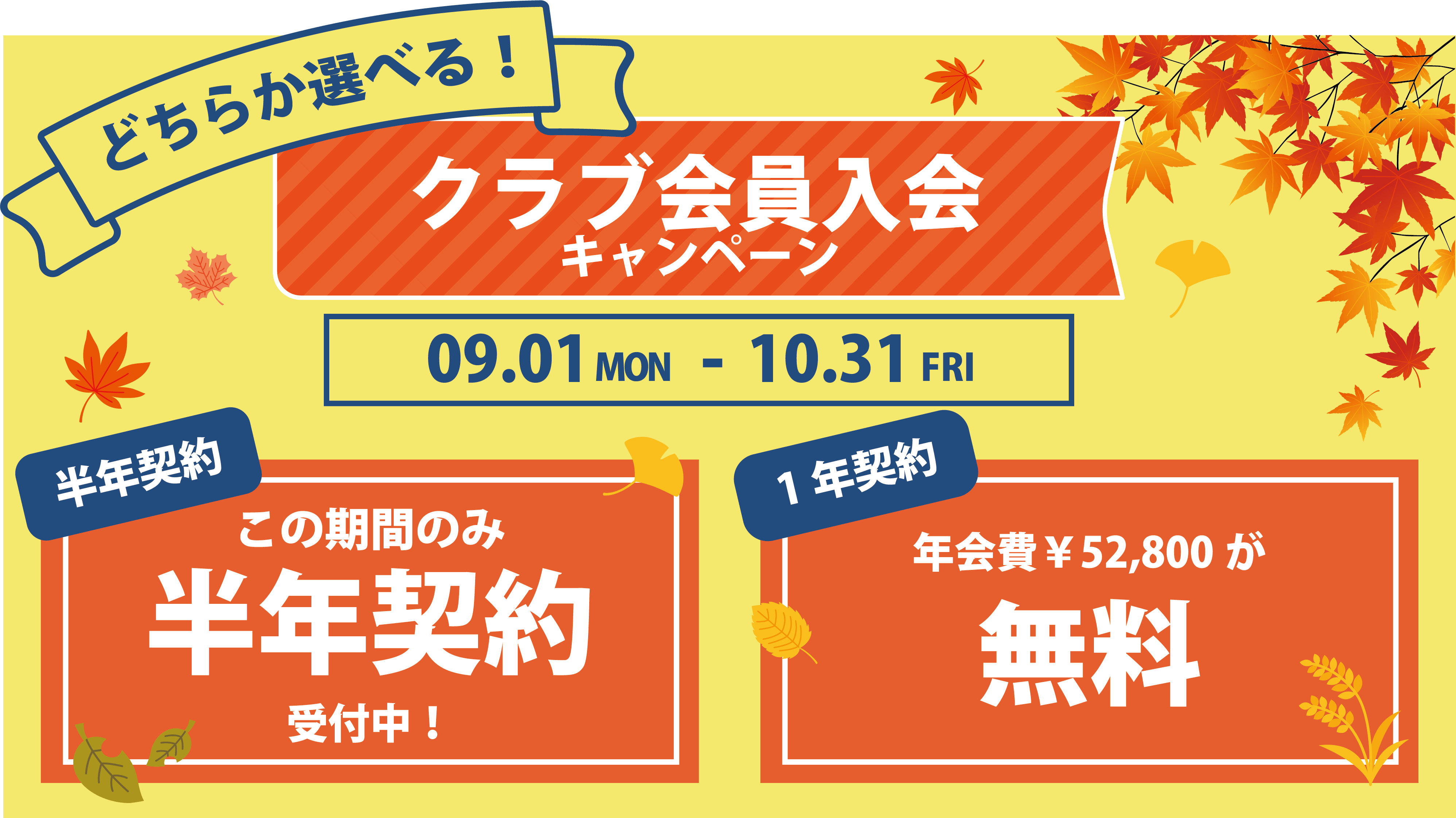秋の会員キャンペーンバナー法人会員用