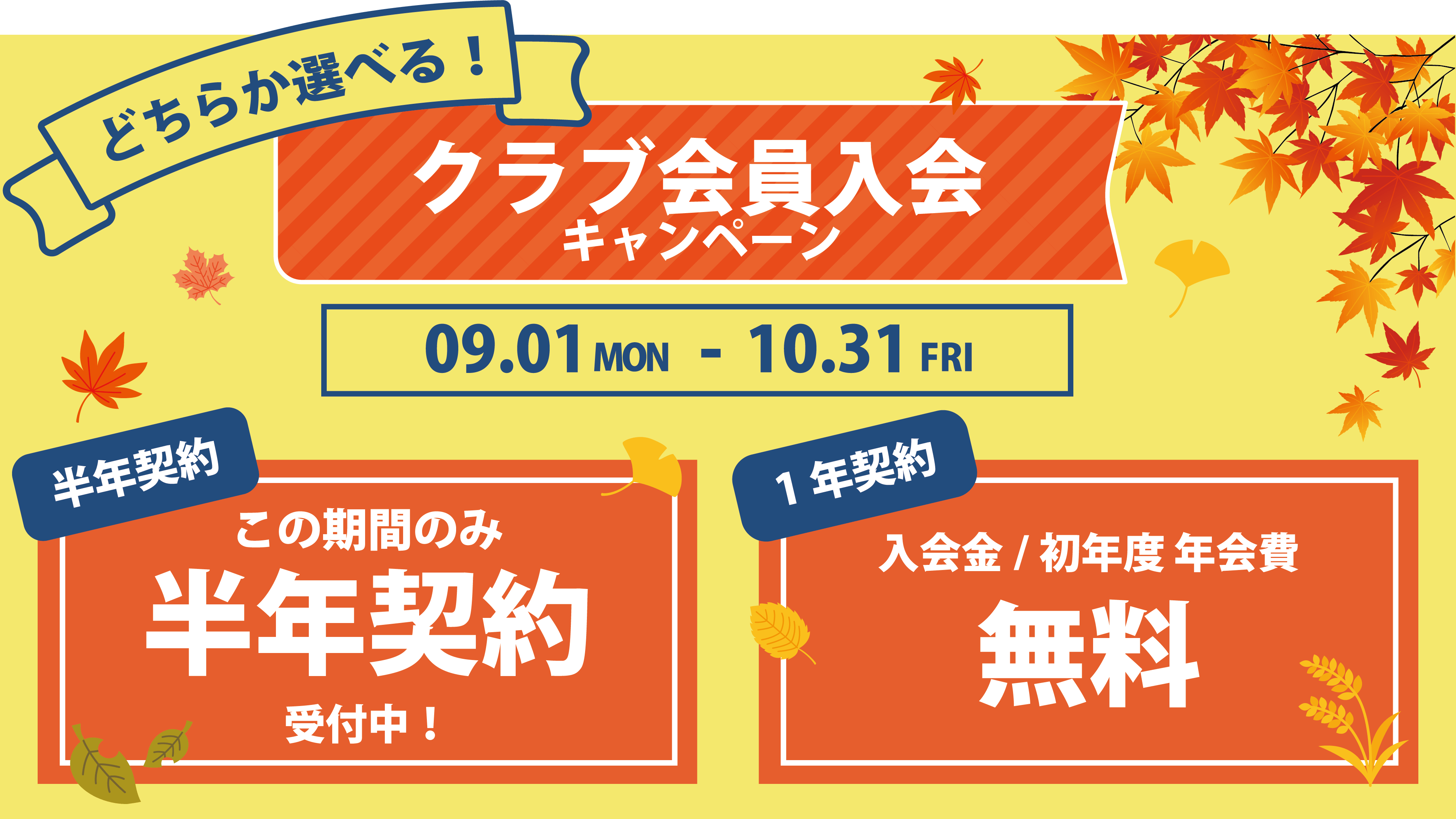 秋の会員キャンペーンバナー