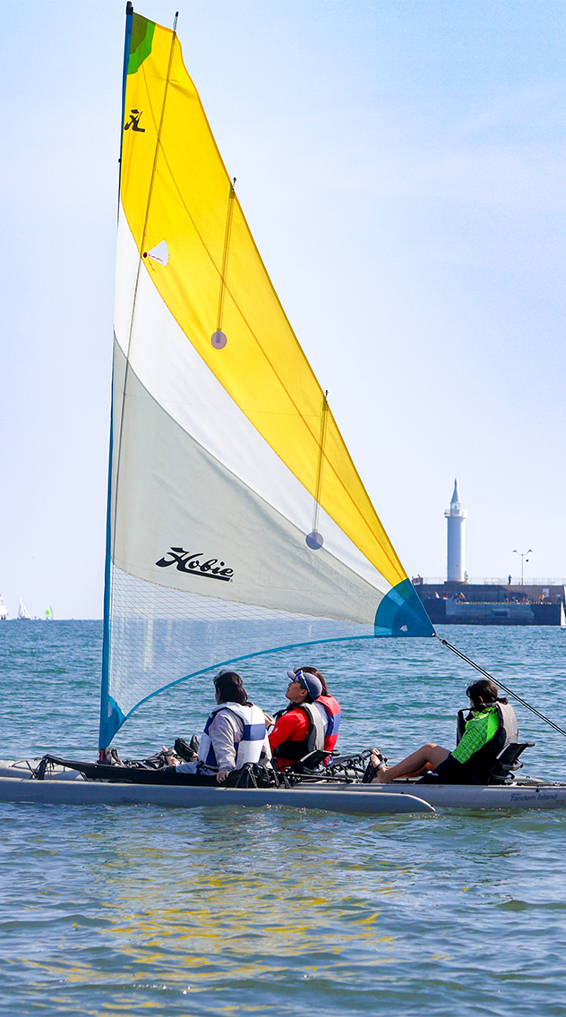 レギュラーレンタル会員